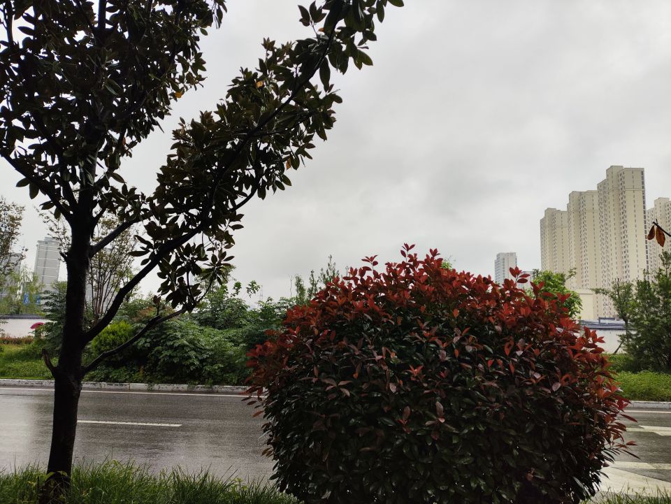 运动方式, 是第 运动方式, 是第